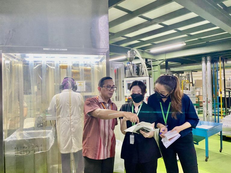 During the Audit Process